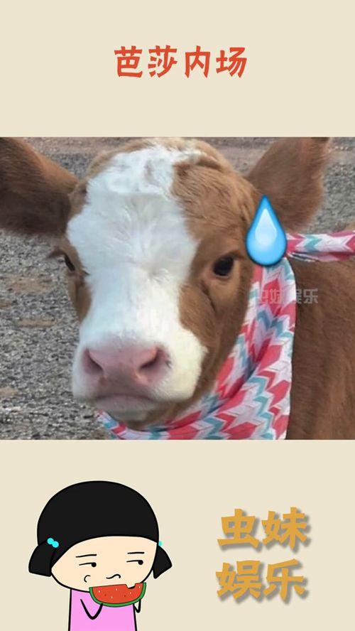 抖音娱乐吃瓜君怎么了